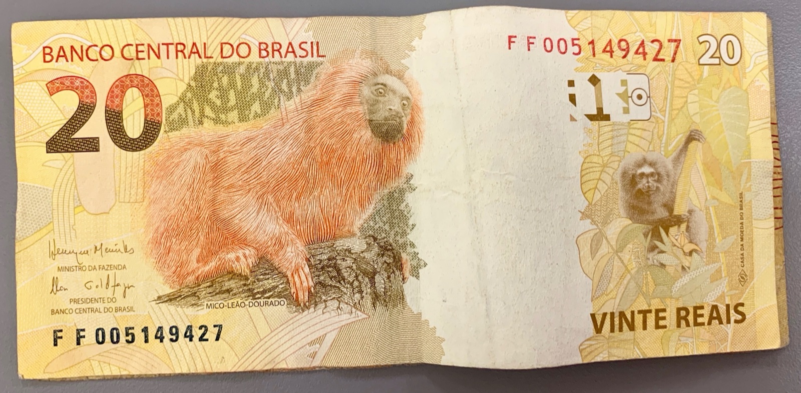 Nota de 20 reais aberta sobre uma superfície cinza, mostrando o desenho do mico leão dourado